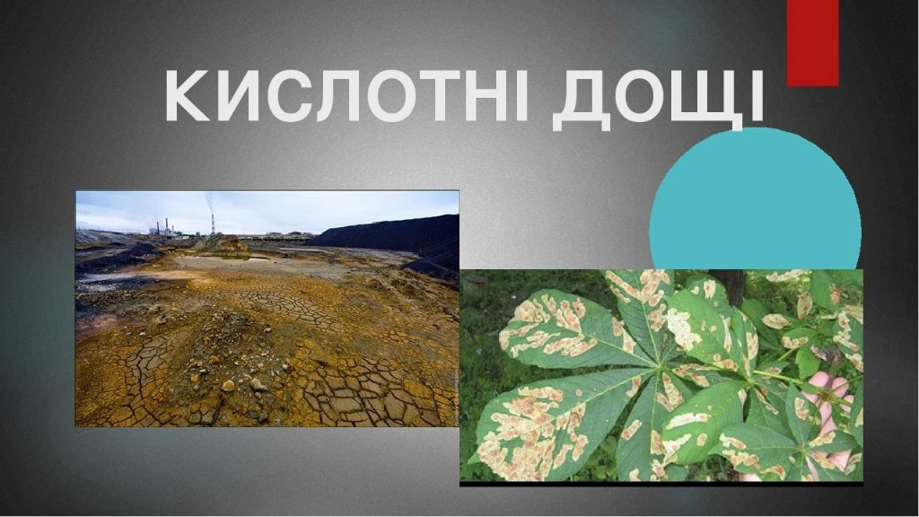 Кислотні дощі в Україні: механізм, регіони і захист
