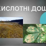 Кислотні дощі в Україні: механізм, регіони і захист